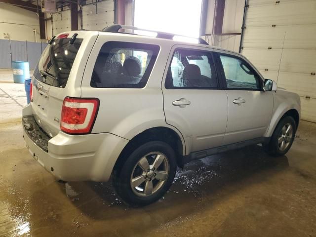 2010 Ford Escape Limited