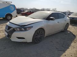 Salvage cars for sale at Kansas City, KS auction: 2017 Nissan Maxima 3.5S