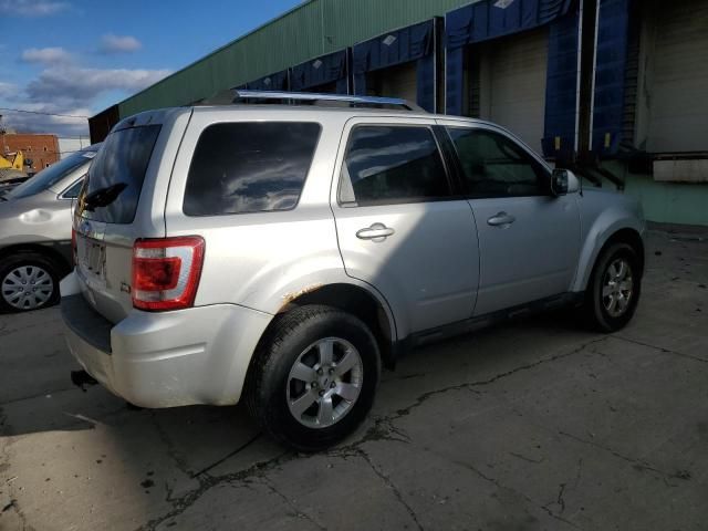 2011 Ford Escape Limited