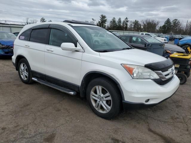 2010 Honda CR-V EXL