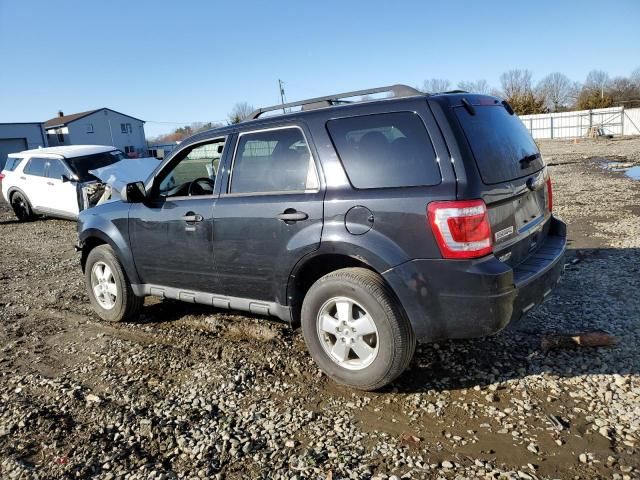 2011 Ford Escape XLT