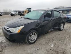 Salvage cars for sale at Wayland, MI auction: 2011 Ford Focus SE