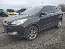 Ford Escape sel salvage cars for sale: 2013 Ford Escape SEL