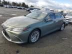 2019 Lexus ES 300H