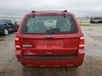 2010 Ford Escape XLS