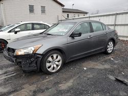 Salvage cars for sale at York Haven, PA auction: 2010 Honda Accord EXL