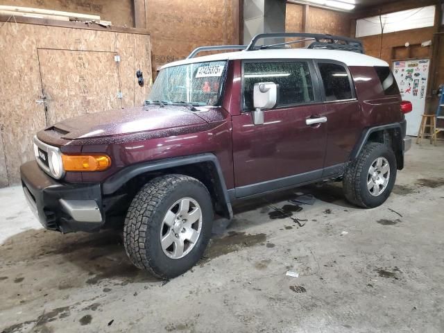 2007 Toyota FJ Cruiser