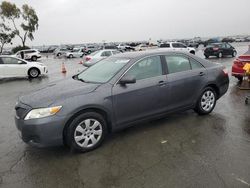 Toyota salvage cars for sale: 2010 Toyota Camry Base