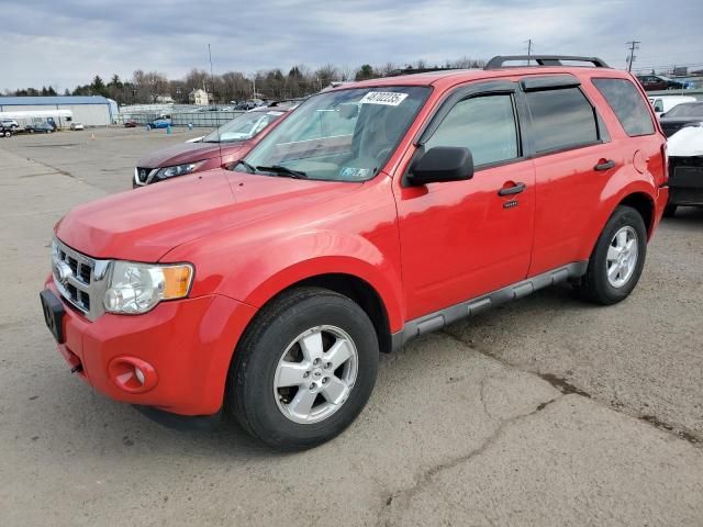 2009 Ford Escape XLT