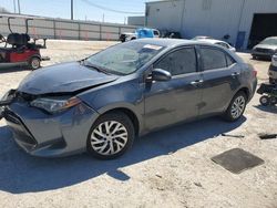 Salvage cars for sale at Jacksonville, FL auction: 2017 Toyota Corolla L