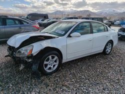 Nissan salvage cars for sale: 2006 Nissan Altima S