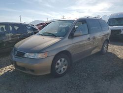 Honda salvage cars for sale: 2004 Honda Odyssey EX