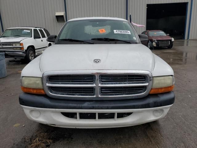 2004 Dodge Dakota Quad Sport