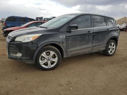 Salvage cars for sale at Brighton, CO auction: 2013 Ford Escape SE