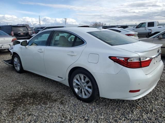 2014 Lexus ES 300H