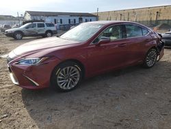 Salvage cars for sale at Laurel, MD auction: 2020 Lexus ES 300H Luxury