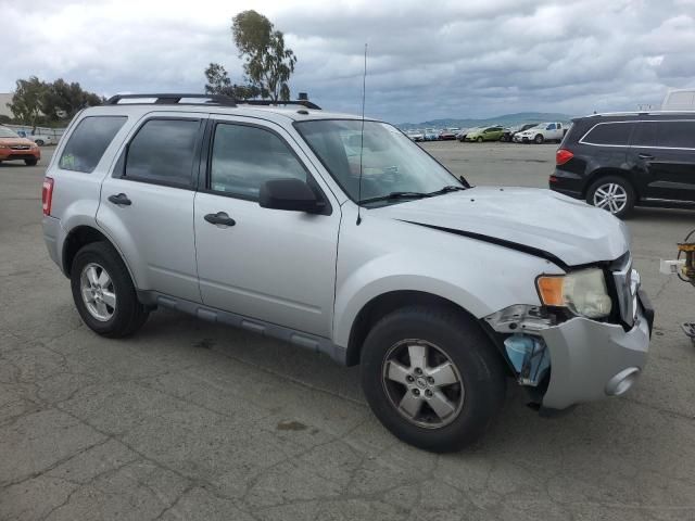 2009 Ford Escape XLT