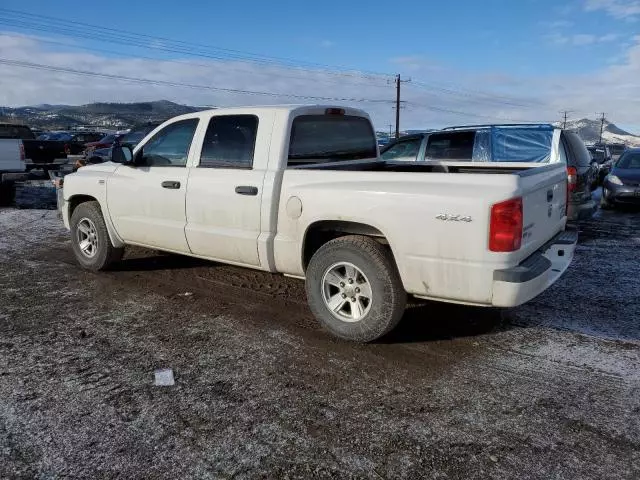 2009 Dodge Dakota SXT