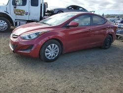 Salvage cars for sale at San Martin, CA auction: 2016 Hyundai Elantra SE