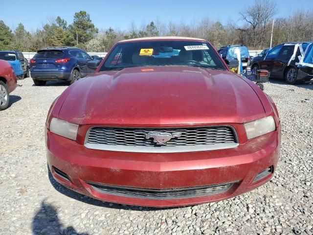 2010 Ford Mustang