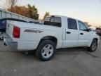 2007 Dodge Dakota Quattro