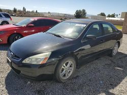 Salvage cars for sale at Mentone, CA auction: 2004 Honda Accord EX