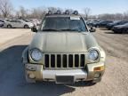 2002 Jeep Liberty Renegade