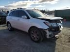 2010 Acura MDX Advance