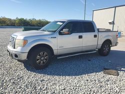 2011 Ford F150 Supercrew en venta en Apopka, FL