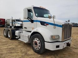 Salvage trucks for sale at Chatham, VA auction: 2015 Peterbilt 567 Semi Truck