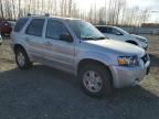 2007 Ford Escape Limited