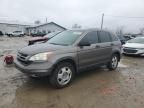 2010 Honda CR-V LX