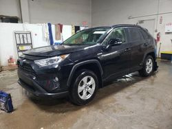 Salvage cars for sale at Elgin, IL auction: 2019 Toyota Rav4 XLE