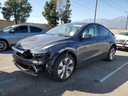 Salvage cars for sale at Rancho Cucamonga, CA auction: 2023 Tesla Model Y