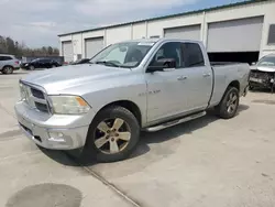 Salvage trucks for sale at Gaston, SC auction: 2010 Dodge RAM 1500