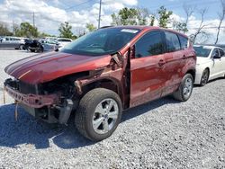 Salvage cars for sale at Riverview, FL auction: 2016 Ford Escape SE