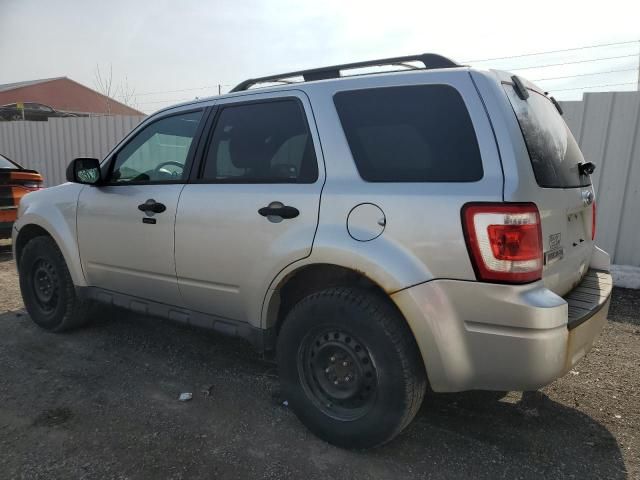 2011 Ford Escape XLT