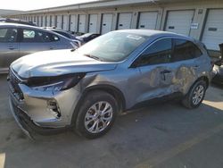 Salvage cars for sale at Louisville, KY auction: 2023 Ford Escape Active