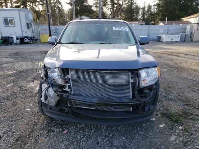 2011 Ford Escape Limited