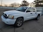 2007 Dodge Dakota Quattro