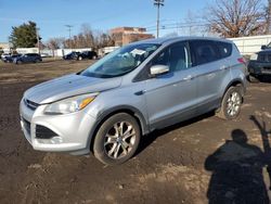 Salvage cars for sale at New Britain, CT auction: 2013 Ford Escape SEL