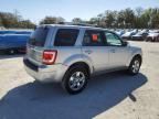 2010 Ford Escape Limited