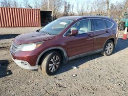 Salvage cars for sale at Baltimore, MD auction: 2014 Honda CR-V EXL