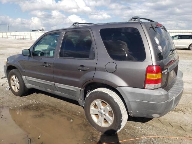 2005 Ford Escape XLT