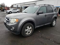 Salvage cars for sale at New Britain, CT auction: 2010 Ford Escape XLT