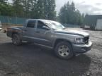 2010 Dodge Dakota SXT