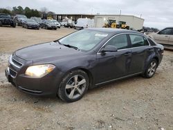 Carros salvage a la venta en subasta: 2011 Chevrolet Malibu 1LT