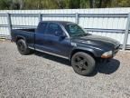 2004 Dodge Dakota Sport