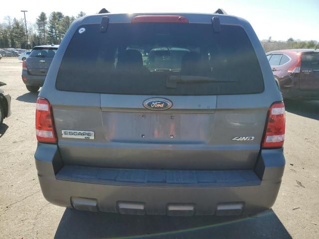 2009 Ford Escape XLT