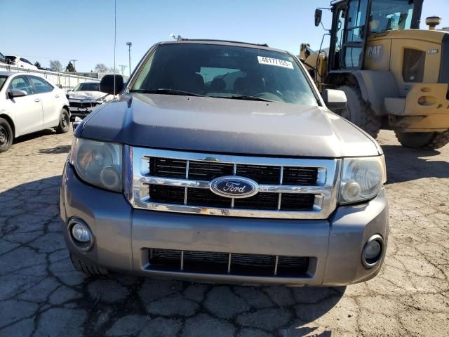 2008 Ford Escape XLT